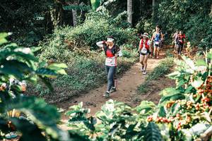 BIB: 
                            <button type="button" onclick="openModal(25849211)" class="btn btn-primary btn-sm float-right btn-popup" data-toggle="modal" data-target=".modal-high-quality">
                        <i class="fas fa-shopping-cart"></i> Add to Cart
                    </button>
                                            <button type="button" onclick="isThisMe(25849211, true)" class="btn btn-success btn-sm float-right btn-popup btn-isme hidden" data-toggle="tooltip" data-placement="bottom" title="นี่คือรูปของคุณใช่ไหม คลิกที่นี่เพื่อเอาเข้าอัลบั้ม">
                        <i class="fas fa-plus"></i> Add to album
                    </button>
                    <button type="button" onclick="isThisMe(25849211, false)" class="btn btn-warning btn-sm float-right btn-popup btn-isnotme hidden">
                        <i class="fas fa-ban"></i> Remove from album
                    </button>